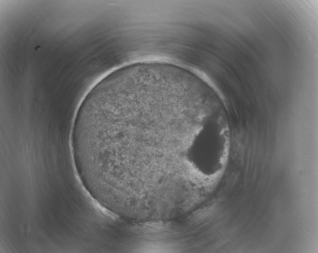 X0000066970959200604142137