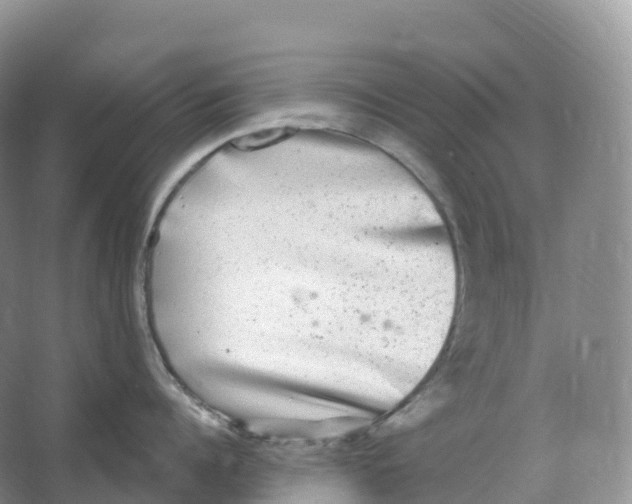 X0000066970960200604142137