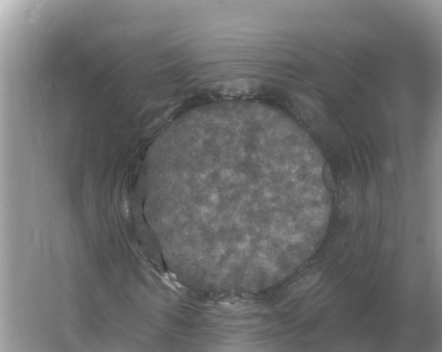 X0000066970962200604142137