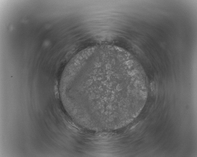 X0000066970963200604142137