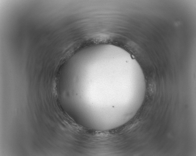 X0000066970964200604142137