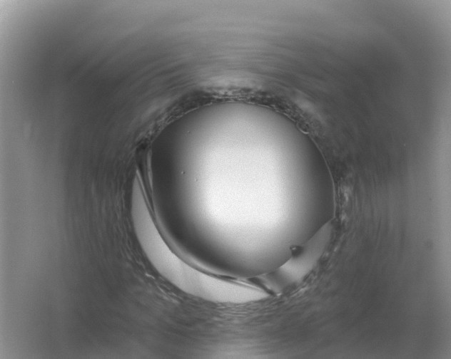 X0000066970965200604142137