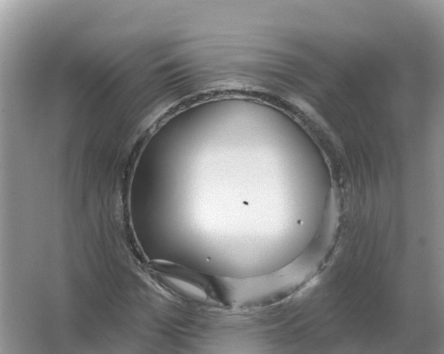 X0000066970969200604142136