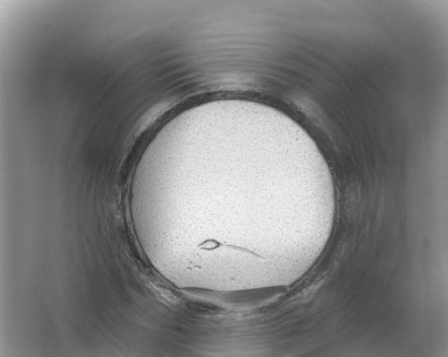 X0000066970970200604142136