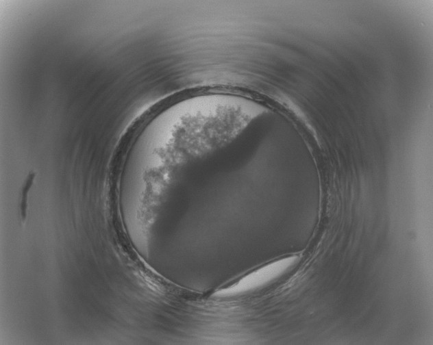 X0000066970975200604142136