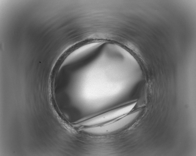 X0000066970976200604142136