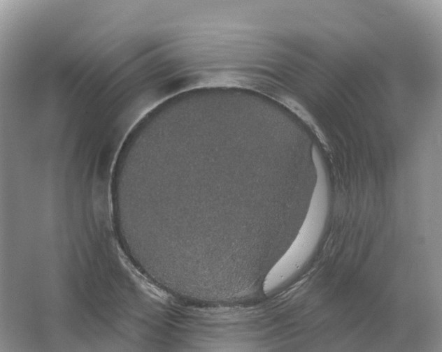 X0000066970980200604142136