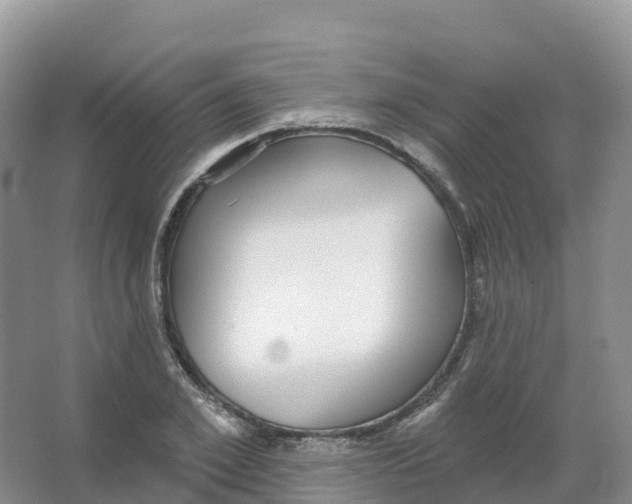 X0000066970981200604142136