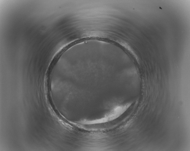 X0000066970983200604142136