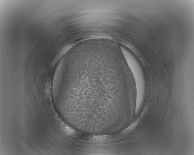 X0000066970985200604142136