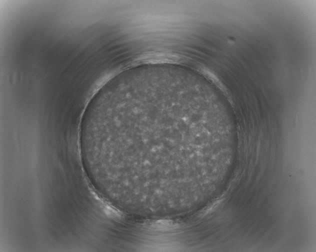 X0000066970986200604142136