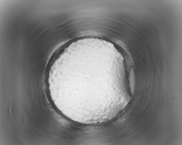 X0000066970987200604142136