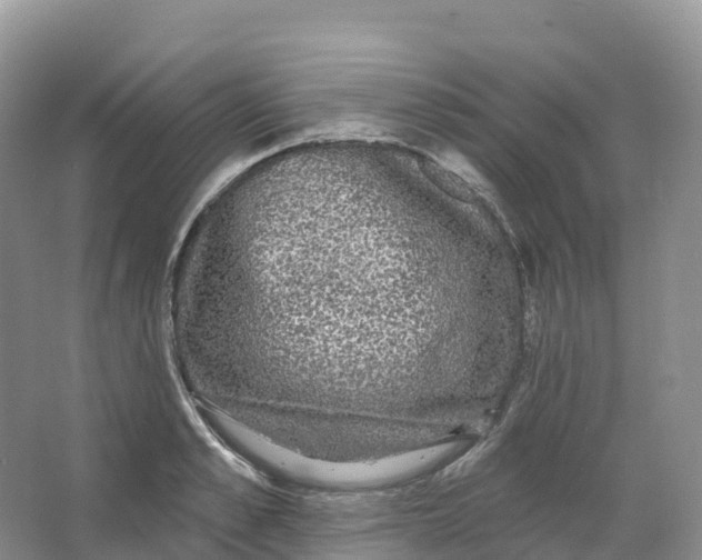 X0000066970989200604142136