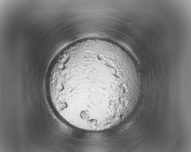 X0000066970991200604142136