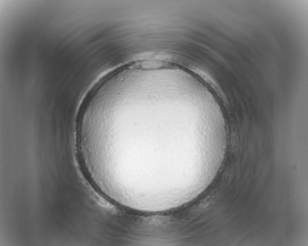 X0000066970992200604142136