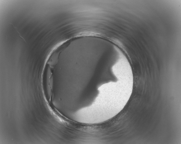 X0000066970995200604142136