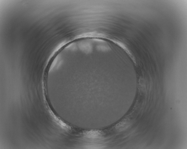 X0000066970998200604142136