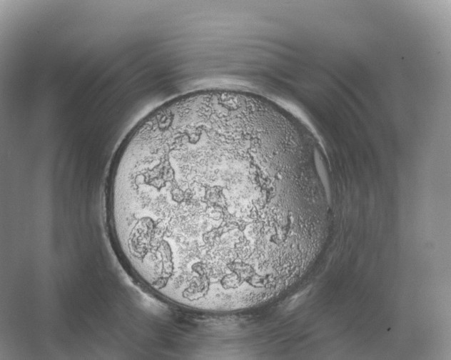 X0000066970999200604142136