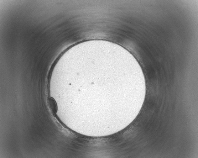 X0000066971000200604142136