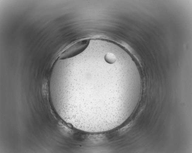 X0000066971001200604142136