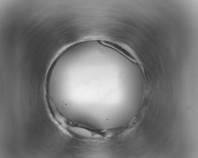 X0000066971005200604142136