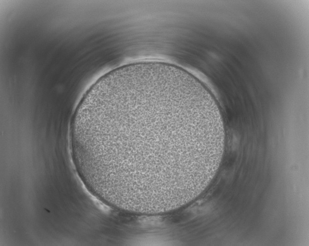 X0000066971006200604142136