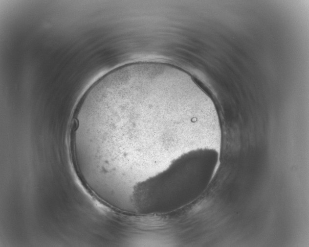 X0000066971007200604142136