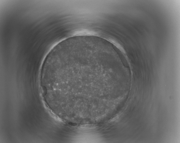 X0000066971008200604142136