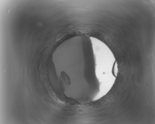 X0000066971009200604142135