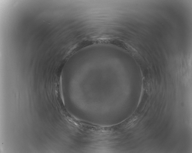 X0000066971010200604142135