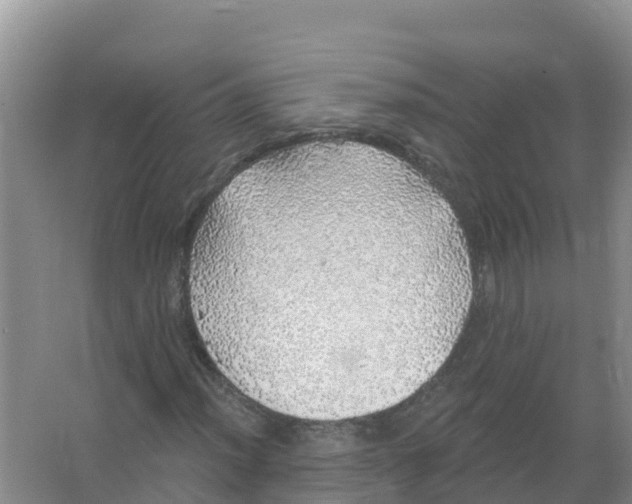 X0000066971012200604142135