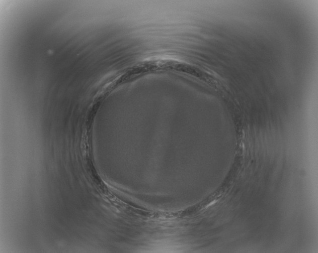 X0000066971014200604142135