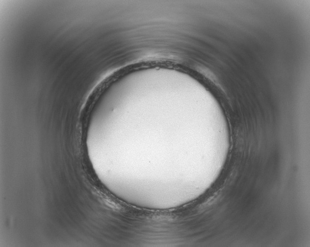 X0000066971021200604142135