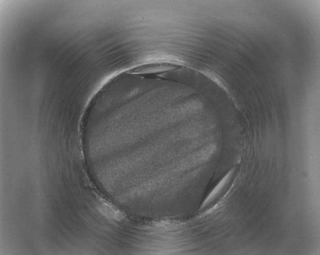 X0000066971022200604142135