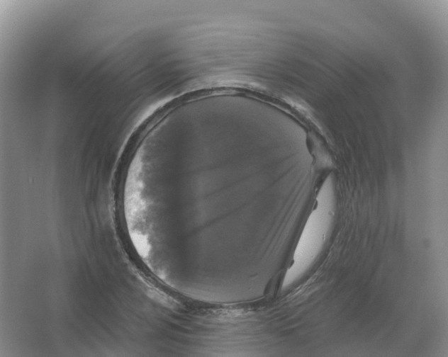 X0000066971024200604142135