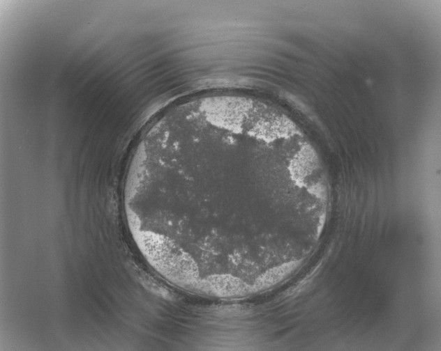 X0000066971025200604142135