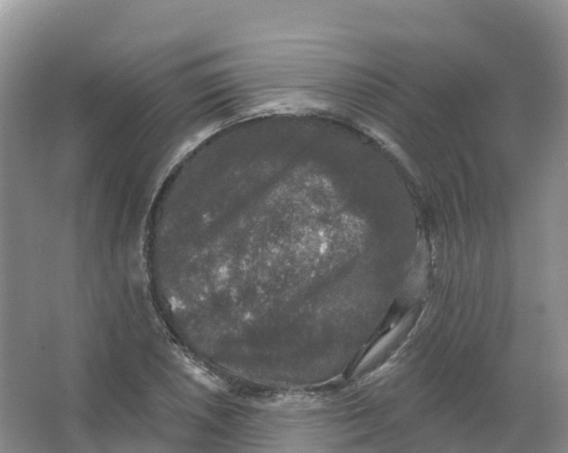 X0000066971026200604142135