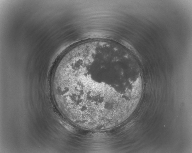 X0000066971027200604142135