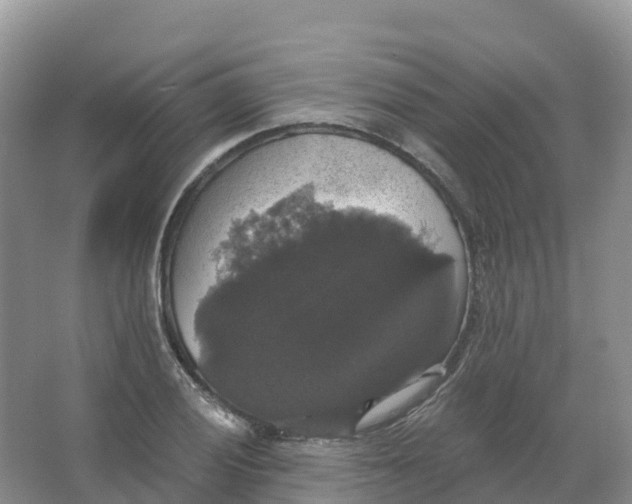 X0000066971028200604142135