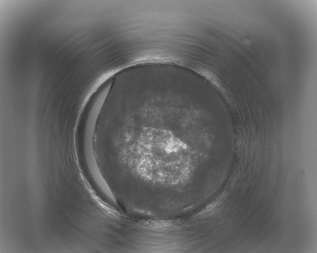 X0000066971030200604142135