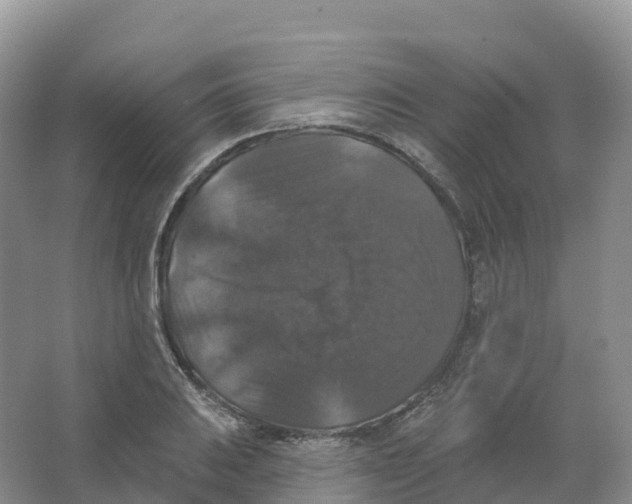 X0000066971031200604142135