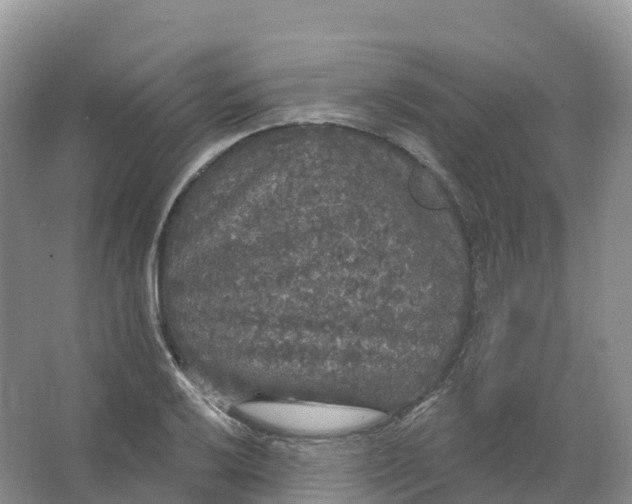 X0000066971032200604142135