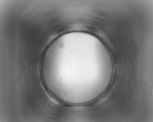 X0000066971033200604142135