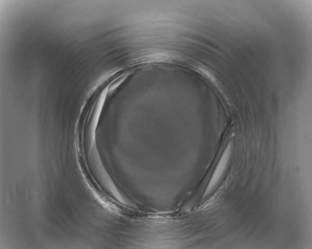 X0000066971034200604142135