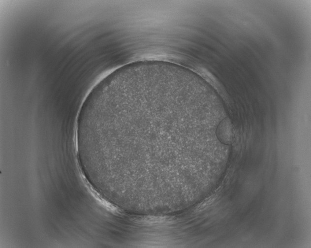 X0000066971036200604142135