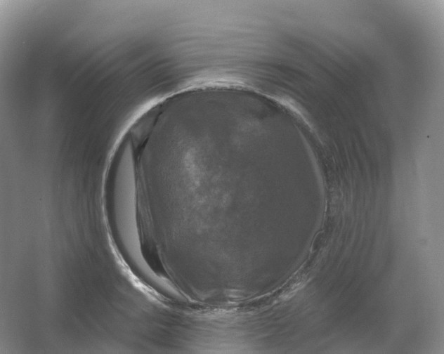 X0000066971038200604142135