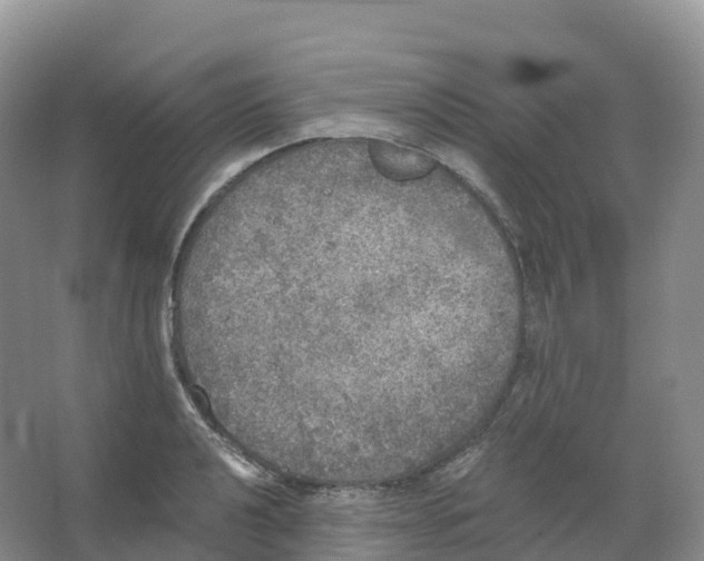 X0000066971040200604142136