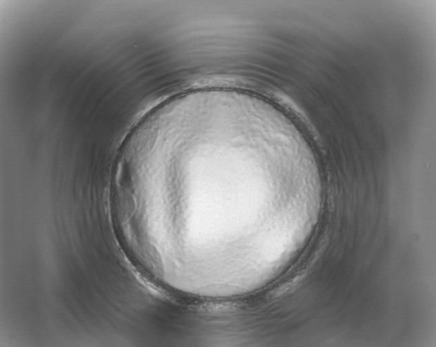 X0000066971041200604142136