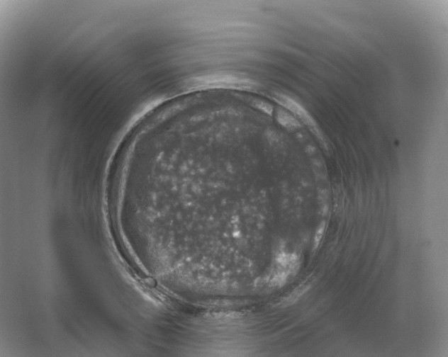 X0000066971043200604142136