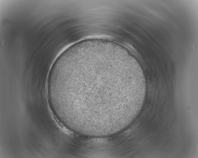 X0000066971044200604142136